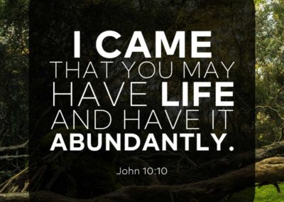 John 10:10